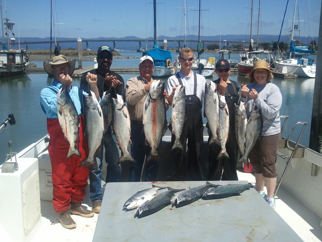 ᐅ Tecolote Creek fishing reports🎣• San Diego, CA (United States) fishing